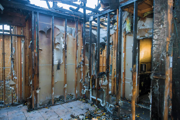 Professional Smoke Damage Removal technician working in Maysville, GA